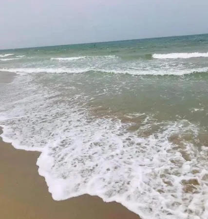 La Marea Monolocale Sul Mare * Tirrenia